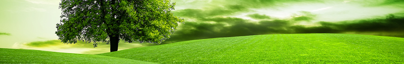 Environnement